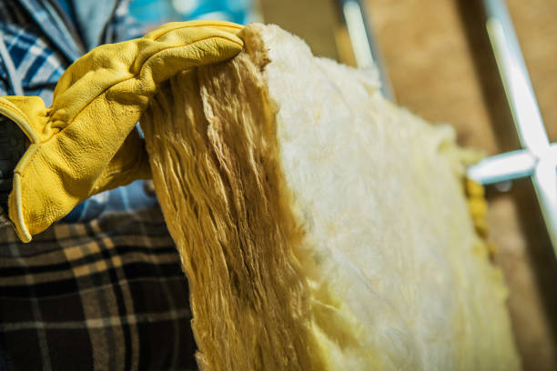 Professional Insulation Contractor in Karns, TN